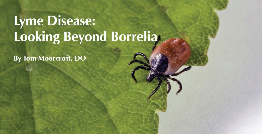 Lyme Disease - Looking Beyond Borrelia